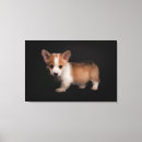 Search for cute corgi art Pembroke welsh corgi