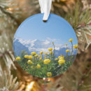 Search for mountains round christmas tree decorations Switzerland
