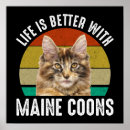 Search for coon posters Kitty