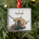 Search for cow christmas tree decorations Scotland
