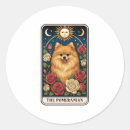 Search for pomeranian lover stickers Weimaraner