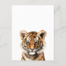 Search for little tiger postcards Baby