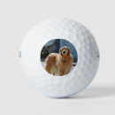 Search for sunshine golf balls Cute
