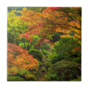 Search for japanese garden tiles Oregon