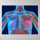 Search for computer generated image posters Healthcare and medicine