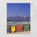 Search for capetown postcards Windsurfer