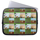 Search for highland cattle electronics Scottish