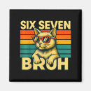 Search for six magnets Cat