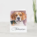Search for beagle note cards Cute