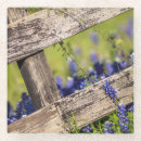 Search for rural scene coasters Fence