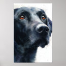 Search for black lab posters Adorable
