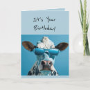 Search for glamour birthday cards Funny