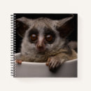 Search for cute monkey notebooks Cute baby animal