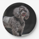 Search for black poodle dog plates Puppy
