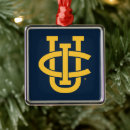 Search for anteater christmas tree decorations College