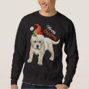 Search for resuce Golden retriever resuce