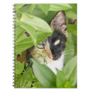 Search for calico cats notebooks Cat lover
