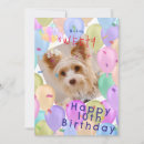 Search for balloon photo cards Pastel