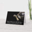 Search for tortoises cards Animal