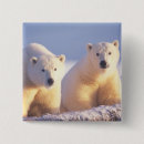 Search for sows badges Global warming
