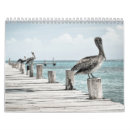 Search for pelican calendars Ocean