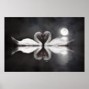 Search for swan love posters Heart