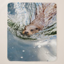 Search for cute seal blankets Wildlife