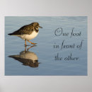 Search for piper posters Bird
