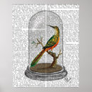 Search for jar posters Animals