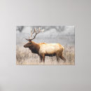 Search for deer stag canvas prints Wildlife