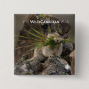 Search for cbc badges Docs