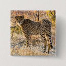 Search for cheetah badges Wild