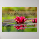 Search for lotus flower quote posters Zen