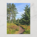Search for forest path postcards Trees