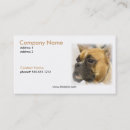 Search for boxer business cards Pet
