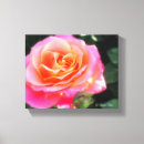 Search for macro rose canvas prints Floral