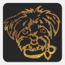 Search for poo stickers Holiday yorkie poo