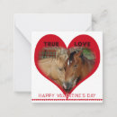 Search for horse valentines day cards Classroom