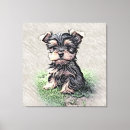 Search for yorkie canvas prints Puppy