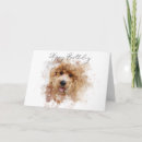 Search for golden puppy cards Labradoodle