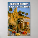 Search for funny raccoon posters Raccoons