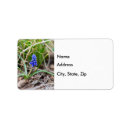 Search for purple grapes return address labels Floral