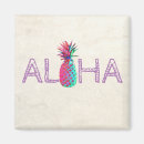 Search for pineapples magnets Hawaiian