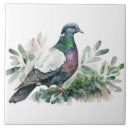 Search for pigeon tiles Nature