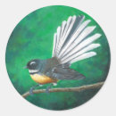 Search for new zealand birds stickers Aotearoa