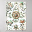 Search for jellyfish posters Retro