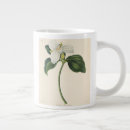 Search for roscoe mugs French