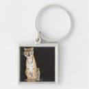 Search for aggression key rings Majestic