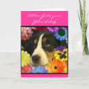 Search for hunde cards German