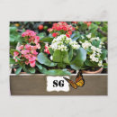 Search for container postcards Flower